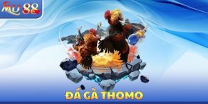 Đá Gà Thomo