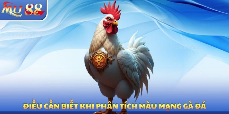 Điều cần biết khi phân tích màu mạng gà đá