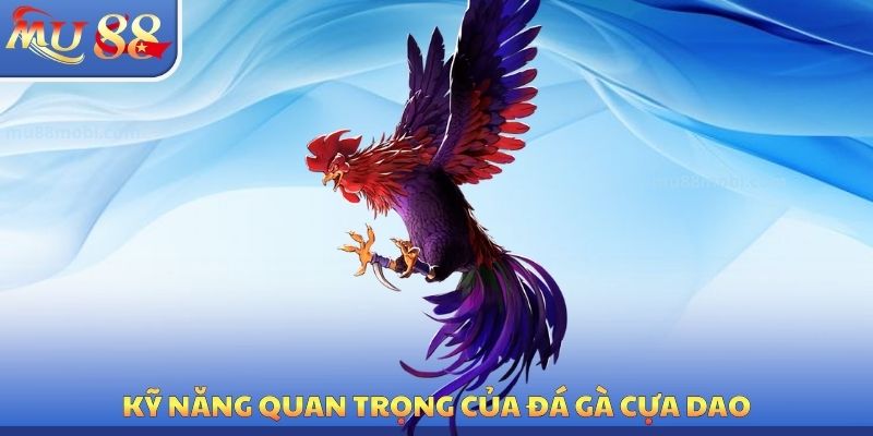 Kỹ năng quan trọng của đá gà cựa dao