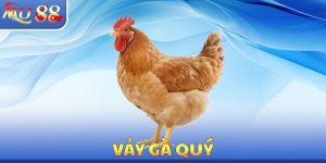 Vảy Gà Quý