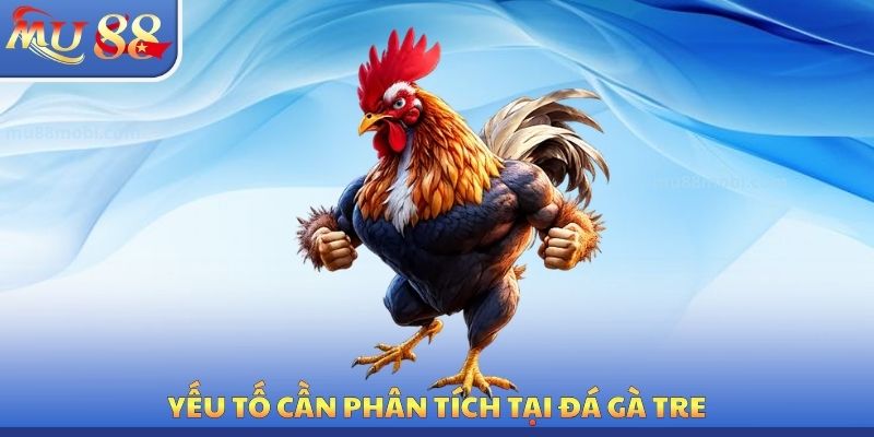 Yếu tố cần phân tích tại đá gà tre